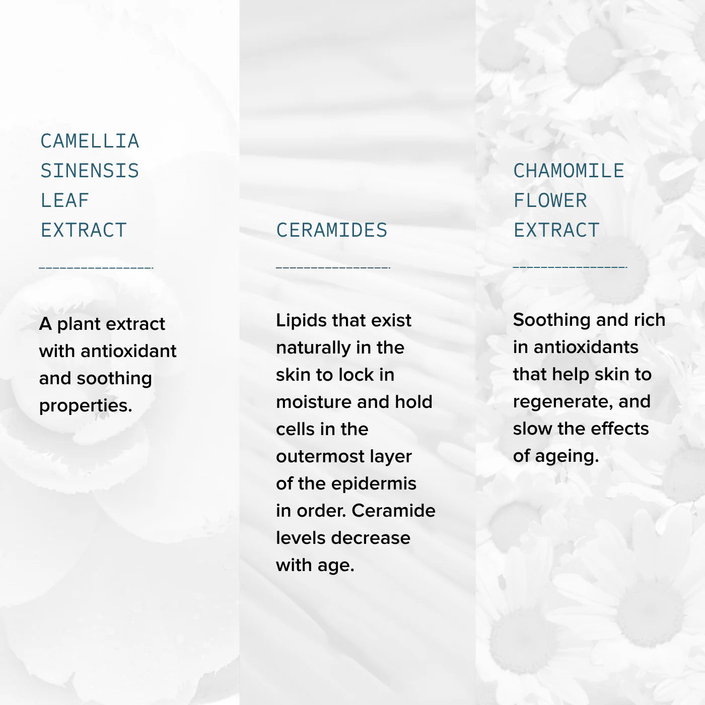 Gentle Foaming Cleanser