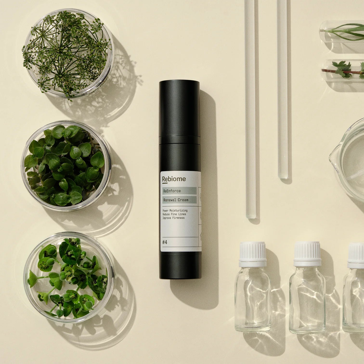 ReEnforce – Renewal Cream