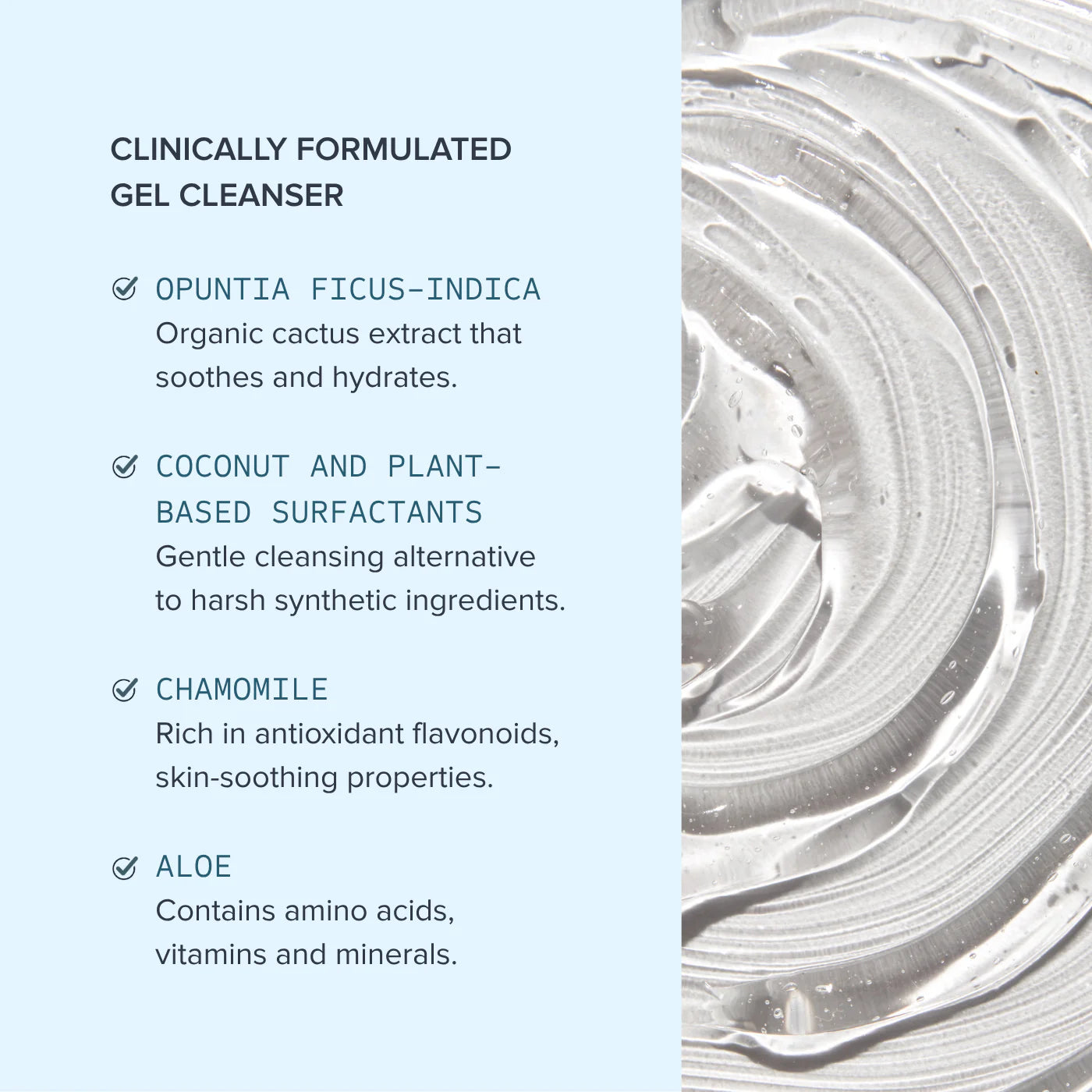 Purifying Gel Cleanser