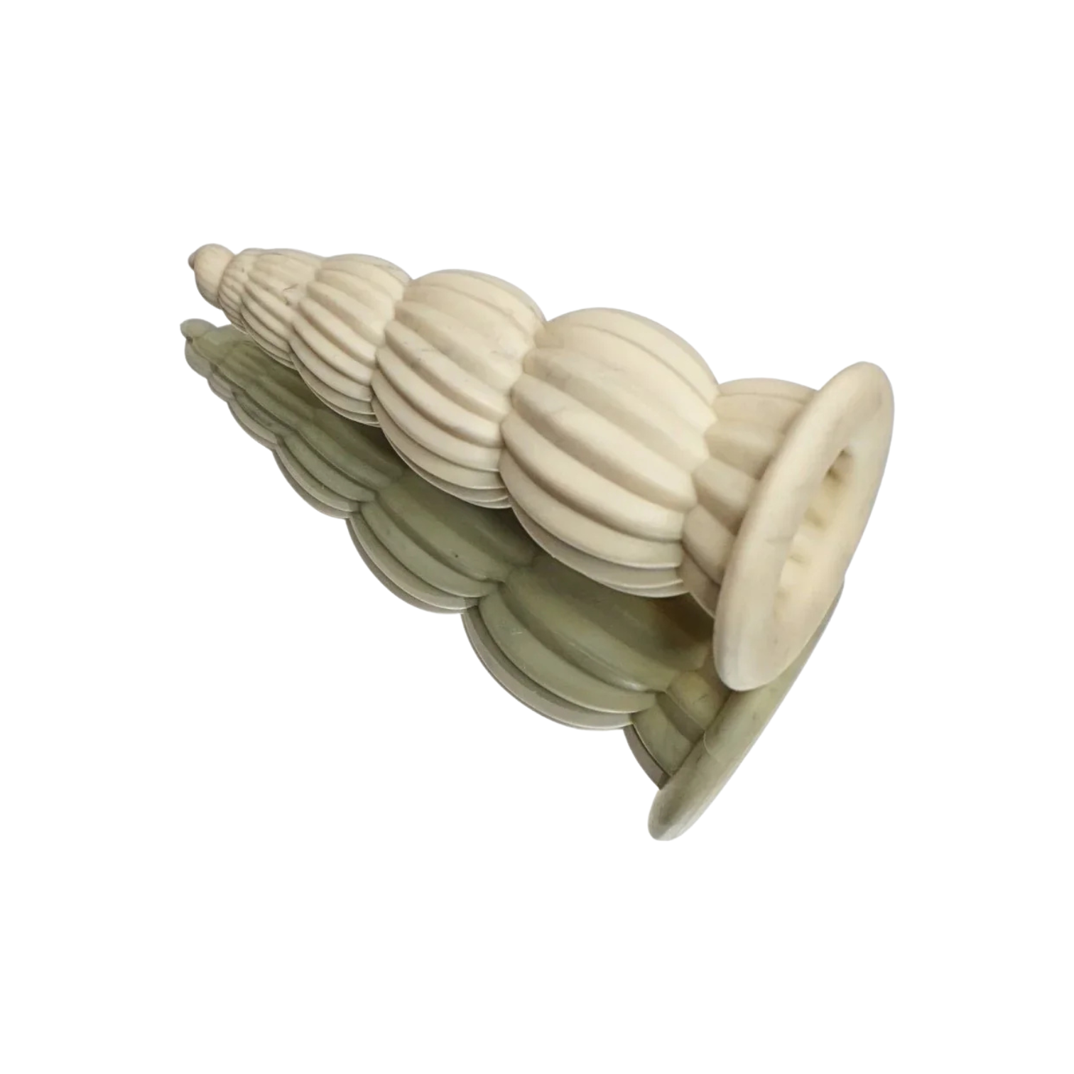 Seashell Facial Cup